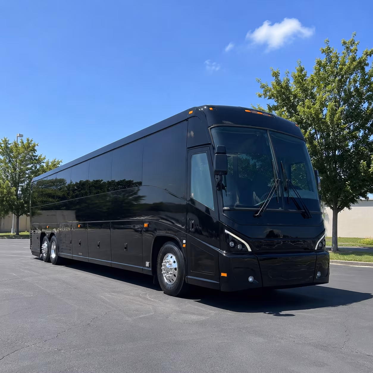 goodyear 56 passenger charter bus