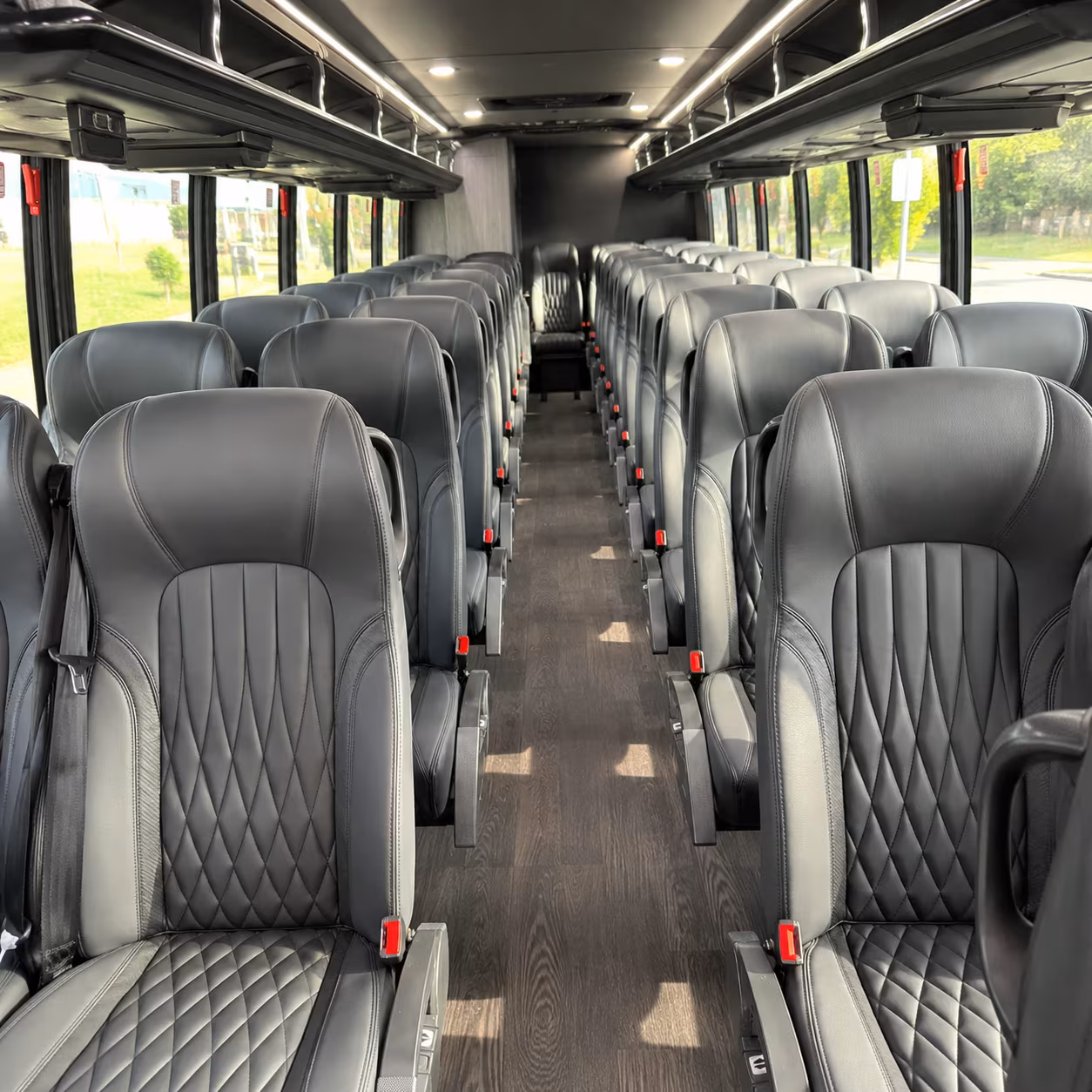 minibuses for wildlife world zoo and aquarium field trips